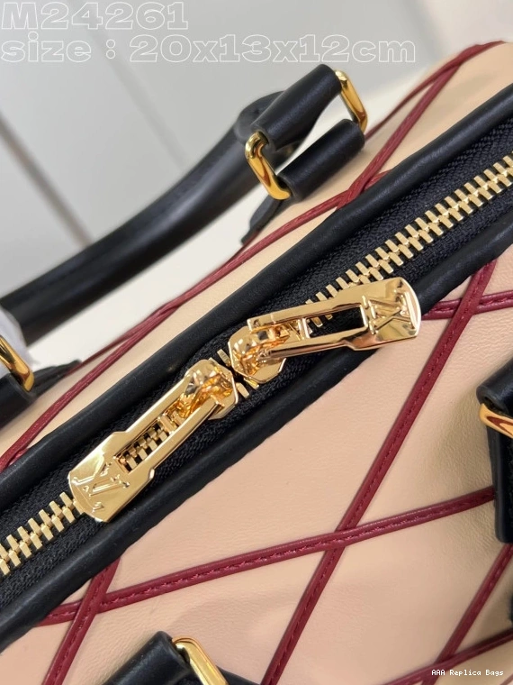 Aaa replica bags VUITTON SPEEDY LOUIS BANDOULIÈRE 20 0824
